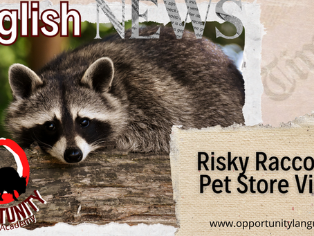 NEWS: Risky Raccoon Pet Store Visit